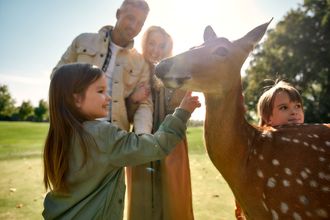 Family stay in the Ore Mountains (2 - 5 nights)