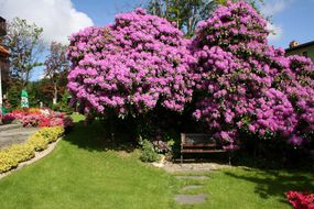 Park Hotel KUR & SPA