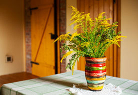 Agroturystyka Kowalowe Skały