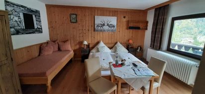 Alpenappartements Schwalbennestl