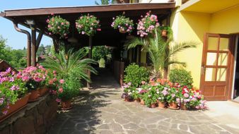 Prima Porta Vendeghaz