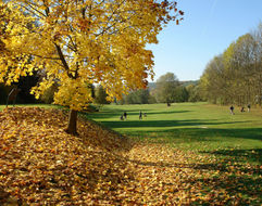 Hotel LÁZNĚ KOSTELEC