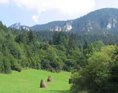 Apartmány GREENFIELD