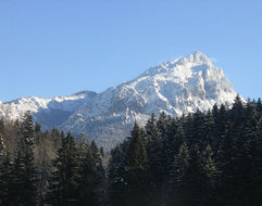 Apartmány GREENFIELD