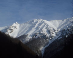 Apartmány GREENFIELD