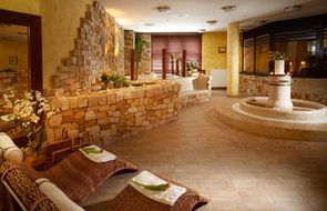 SPA Hotel BÍLÝ HOŘEC