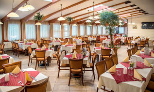 Hotel PALACE Hévíz