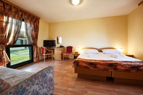 Bungalows TERME PTUJ