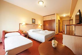 Hotel ZELENI GAJ - Terme Banovci