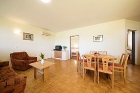Apartmens LIPOV GAJ