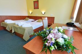 Hotel PANORAMA - Spa Resort Libverda