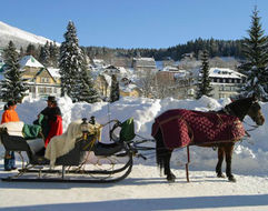 Horský pension SEIDL