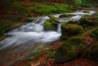 Rest in Šumava (2 nights)