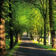 Pakiet antystresowy (2-3 noce)