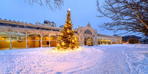 Mariánské Lázně: Kouzelné Vánoce a Silvestr v Hotelu Flora