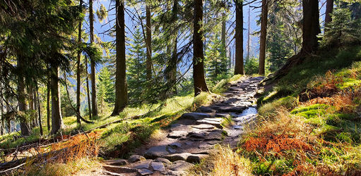 Summer vacation in the Krkonoše Mountains: comfort, nature and experiences for the whole family