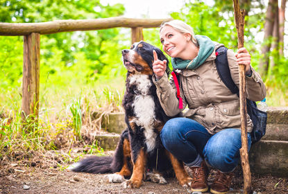 Świetne wakacje z psem