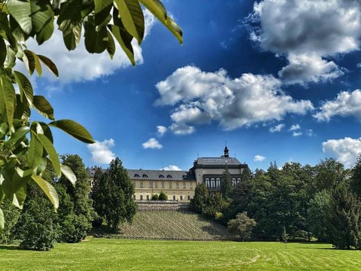 Hotel Chateau ZBIROH