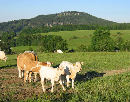 Penzion SELSKÝ DVŮR II.