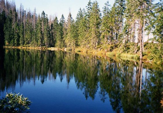 EA Horský hotel Hájenka