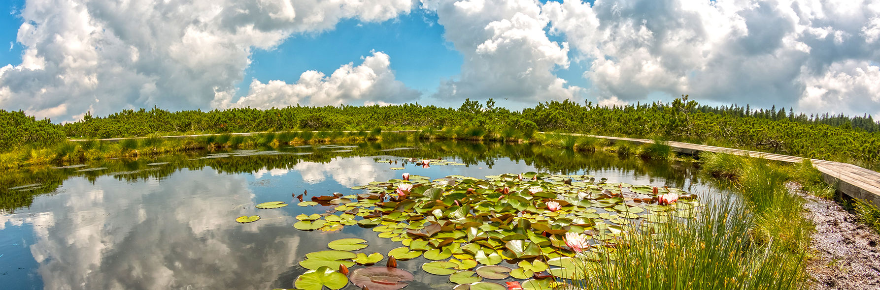 Pobyt w słoweńskim uzdrowisku Zreče
