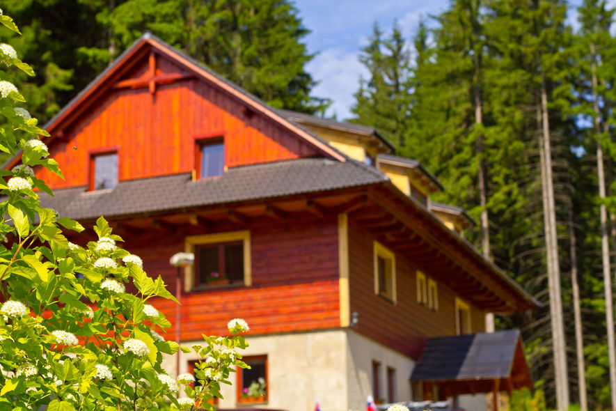 Apartmány u Medvěda