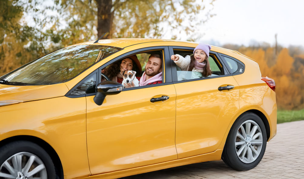 Na dovolenou s mazlíčkem? Jedině spolu!