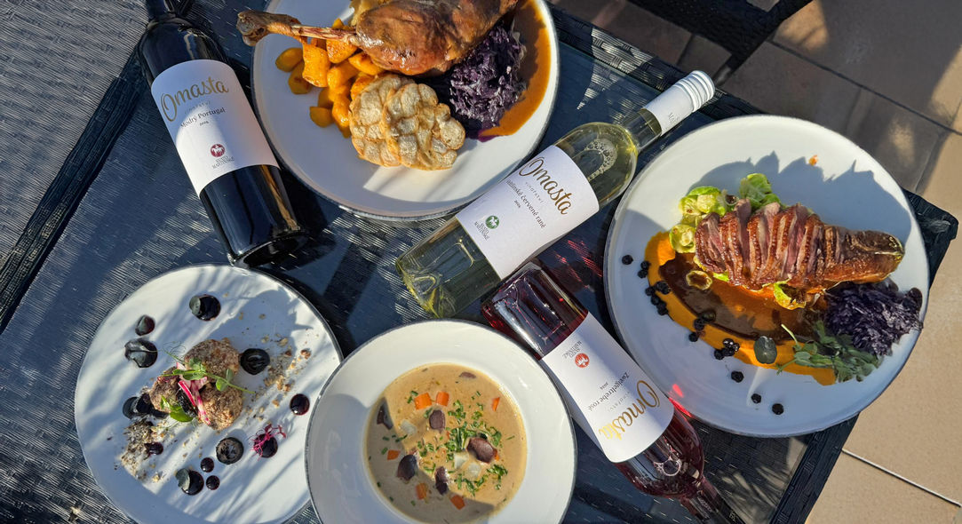 Winter stays at Amanda Wine Wellness Hotel pod Pálavou