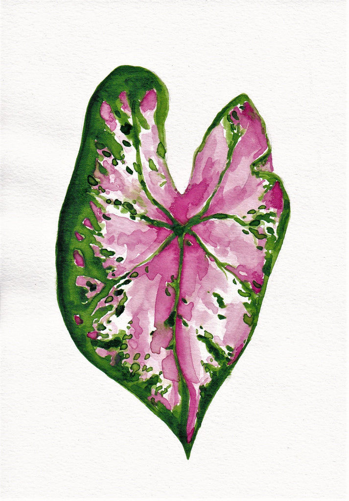 Leaf No. 3