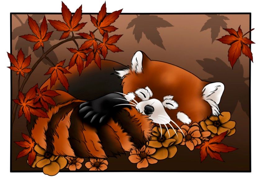 Red Panda