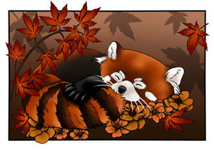 Red Panda