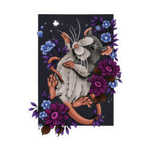 Rat