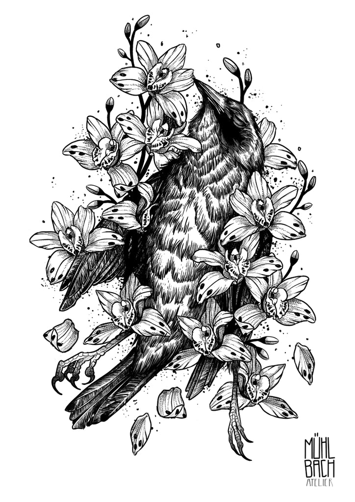 Raven