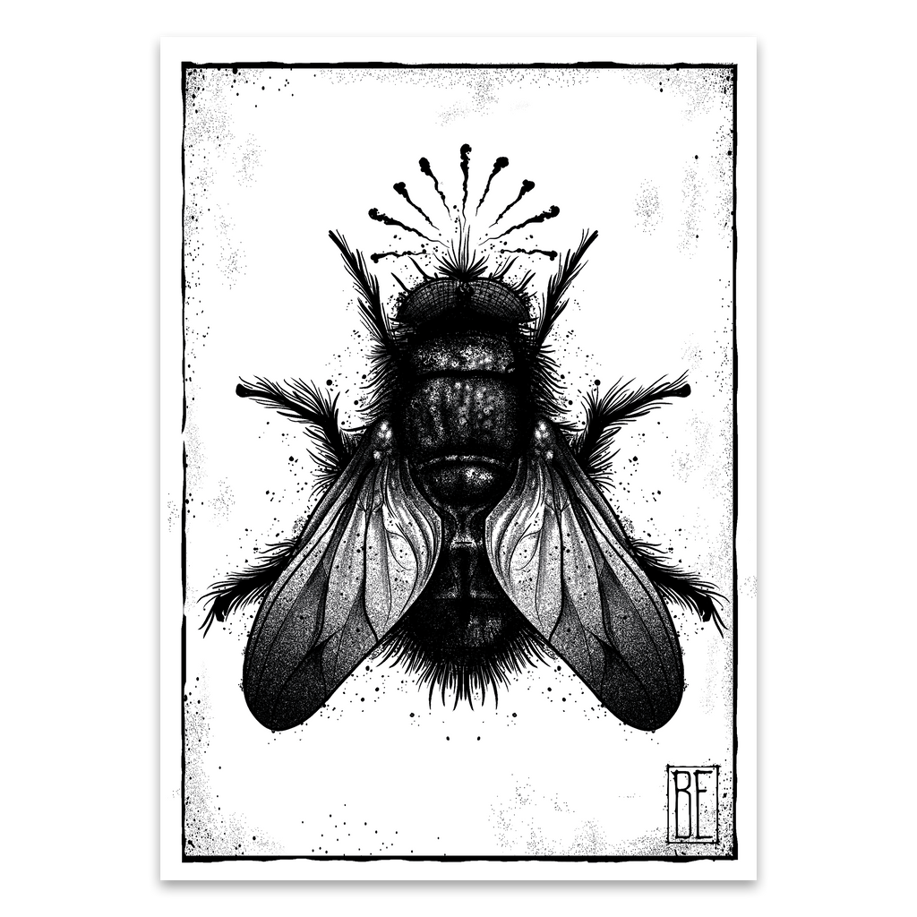 Fly