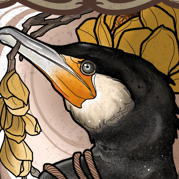 Kormoran