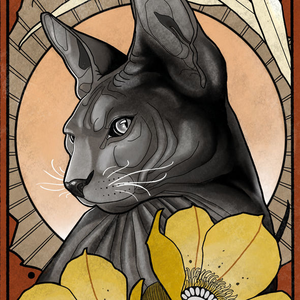Cat