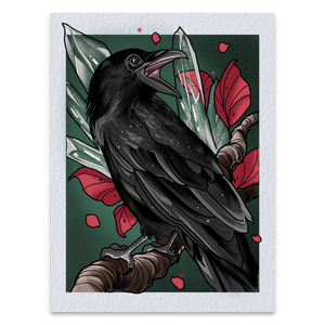 Crow