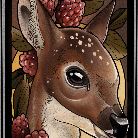 Fawn