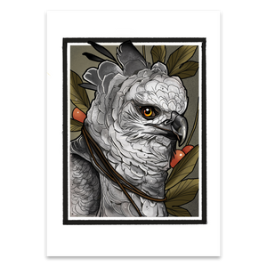 Harpy Eagle