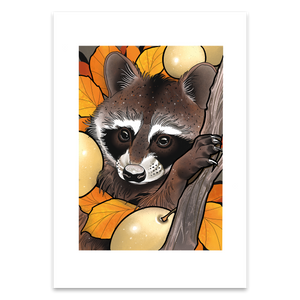 Racoon