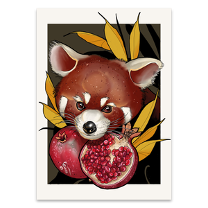 Red Panda