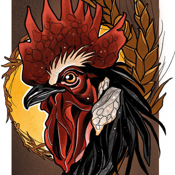 Rooster