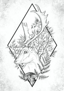Weißer Hirsch