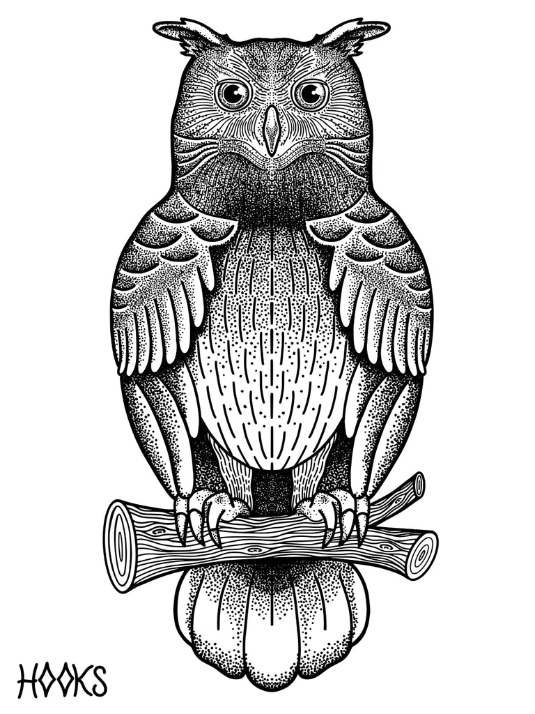 Owl