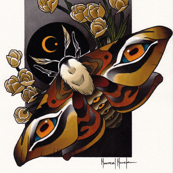 Moth