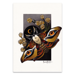 Moth