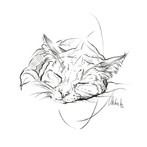 Kitty #2