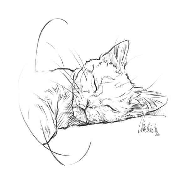 Kitty #3