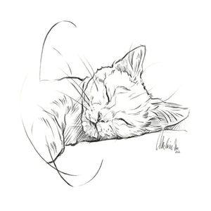 Kitty #3