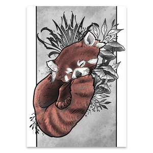 Red Panda